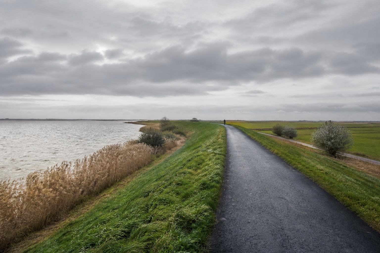 Bicycle path along a grass dike beside a silver lake in Lower Saxony