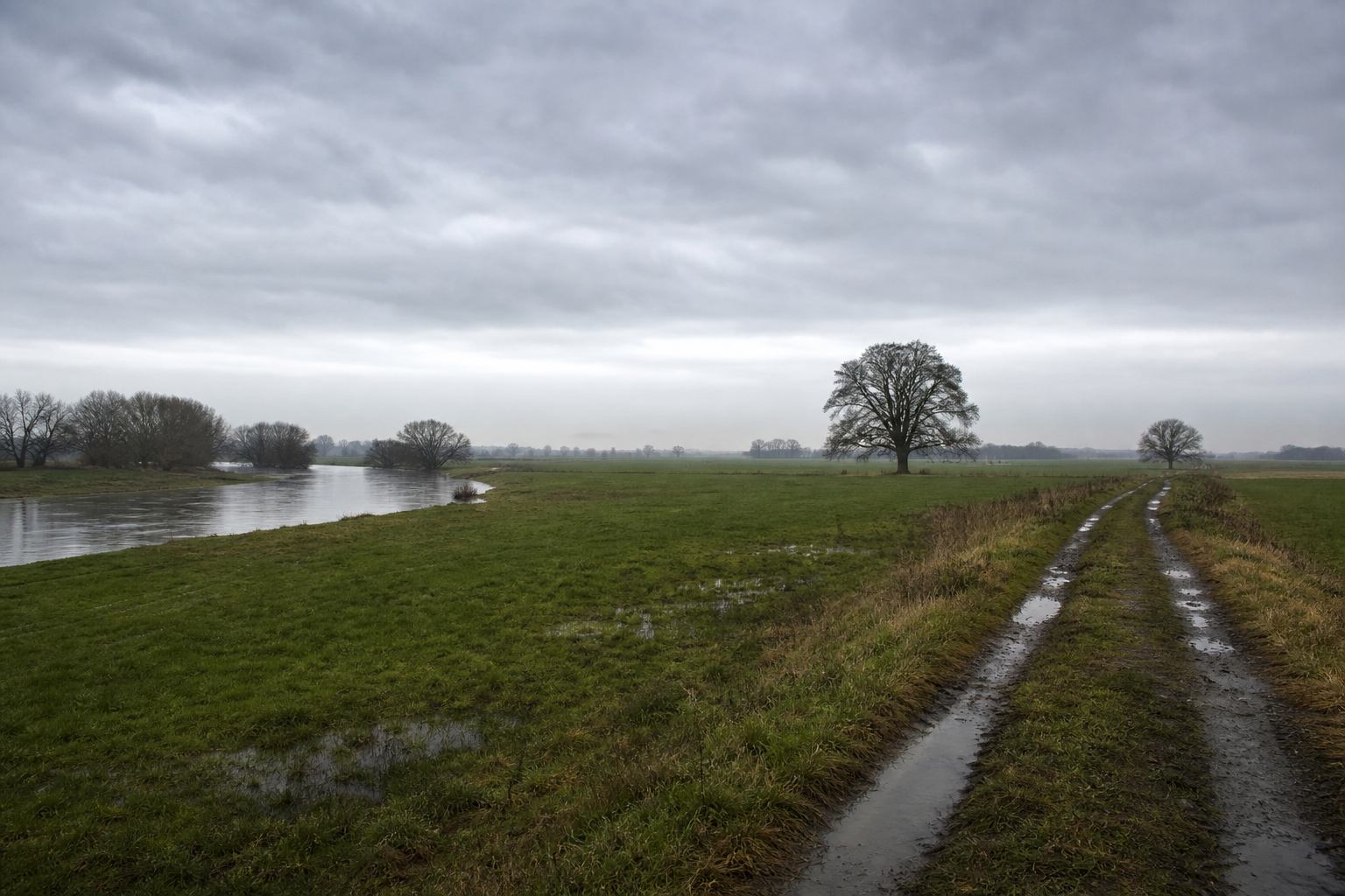 Wide Weser flood meadows with a river bend and solitary trees